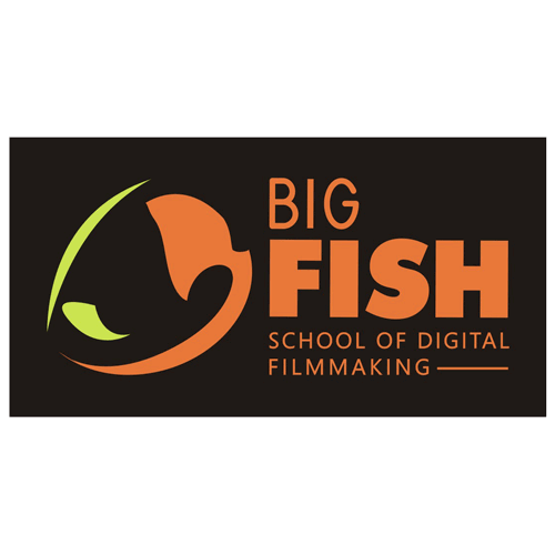 Big Fish logo